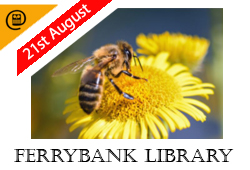 Ferrybank-Web-template-Copy