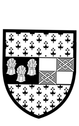 Comhairle Chontae Chill Chainnigh logo